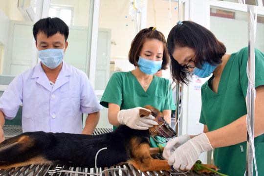 Bệnh viện Thú y Diễn Châu: 