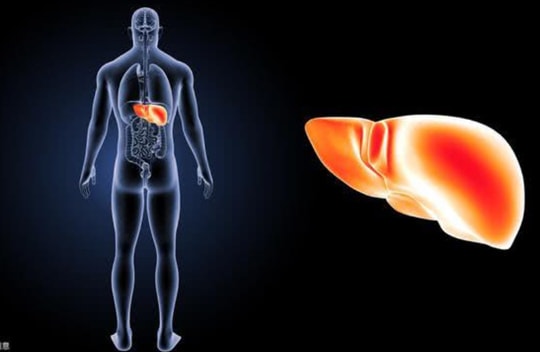 Nếu ngừng uống rượu bia, cơ thể bạn sẽ có 10 thay đổi bất ngờ