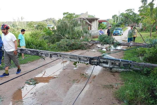 Nghệ An: Điện chập cháy, hàng chục ha lúa và rau màu đổ rạp do ảnh hưởng bão số 4