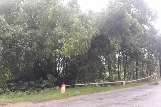 Phát hiện thi thể người đàn ông dưới bụi tre gần Quốc lộ 48D