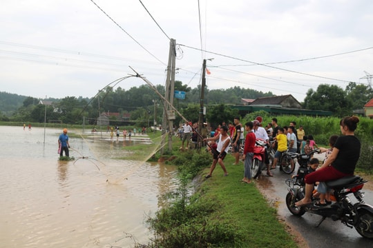  Săn cá đồng trong ngày mưa lớn