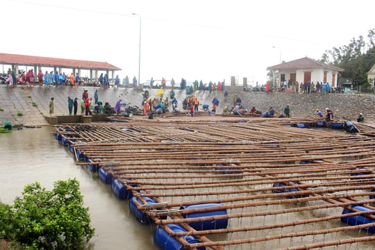 Hàng chục người giải cứu bè nuôi hàu bị lũ cuốn trôi ở Nghệ An