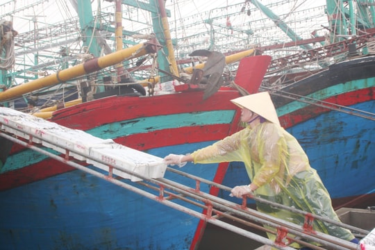 Ngư dân tiêu thụ hải sản trước khi áp thấp nhiệt đới mạnh lên thành bão