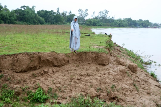 Mưa lớn kéo dài, sạt lở đất sản xuất ven sông Lam