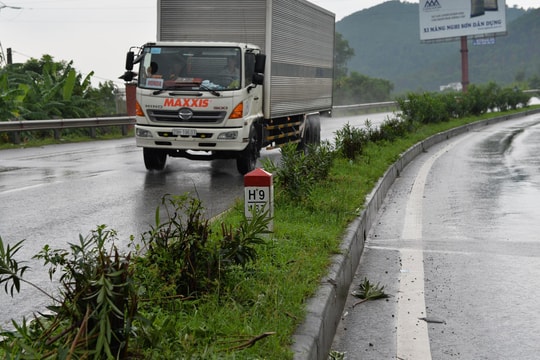 Hàng loạt cây xanh trên dải phân cách Quốc lộ 1A qua Nghệ An bị chặt trơ gốc