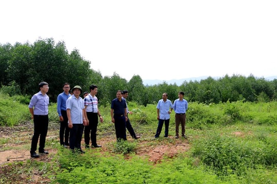 Nghệ An kiểm tra các dự án đầu tư hạ tầng khu, cụm công nghiệp