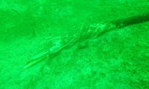 Đài quan sát 332.000 USD biến mất dưới đáy biển Baltic