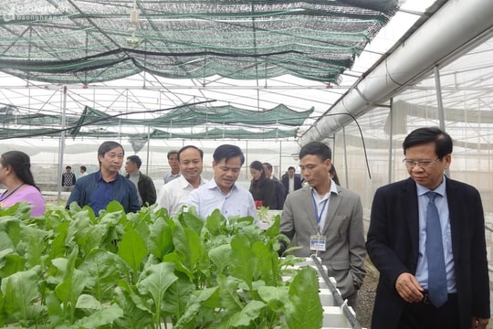 Tiếp tục lan tỏa điển hình về ứng dụng tiến bộ kỹ thuật vào nông nghiệp, nông thôn