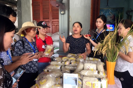 Phổ biến kinh nghiệm đa dạng hóa sinh kế dựa vào du lịch di sản ở Nghệ An