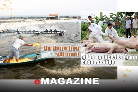 Đa dạng hóa vật nuôi cân đối nguồn cung thực phẩm