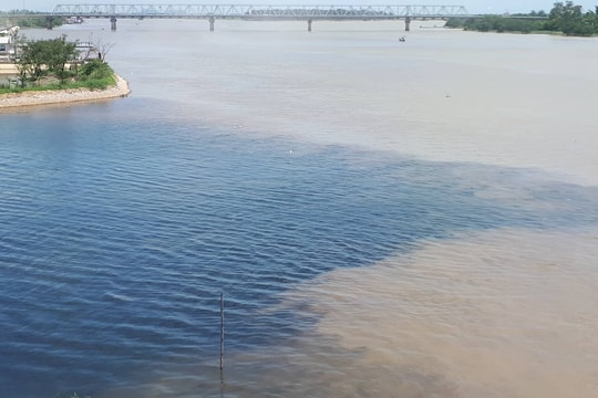 Cận cảnh nước đổi màu đen ngòm, cá chết, xác động vật nổi trên sông Đào, sông Vinh