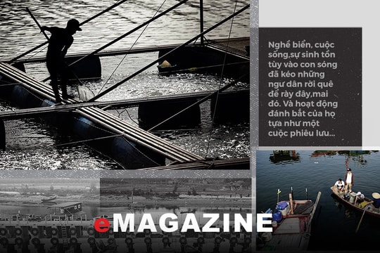 Cuộc phiêu lưu miệt biển