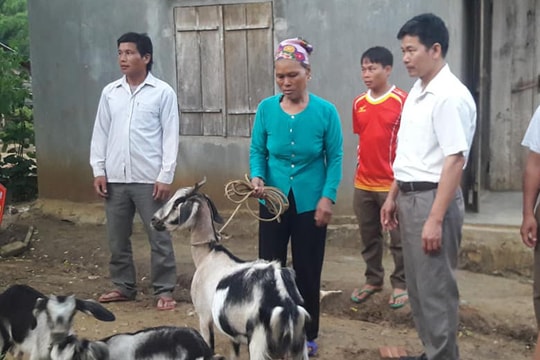 Các hoạt động thiết thực giúp đỡ người nghèo, học sinh khó khăn ở Nghệ An