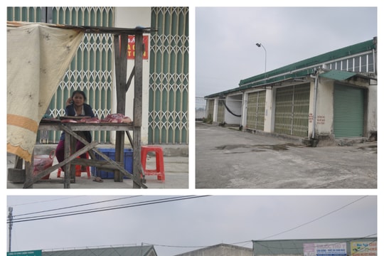Hai chợ tiền tỷ lại bị bỏ hoang ở thành phố Vinh