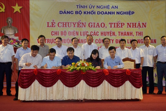 Đảng ủy Khối Doanh nghiệp tỉnh tiếp nhận 19 tổ chức đảng từ Điện lực các huyện, thành, thị