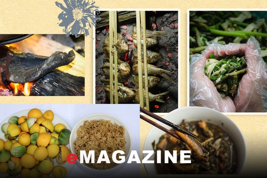 Thử những món ăn này một lần để nhớ mãi về ẩm thực miền Tây Nghệ An