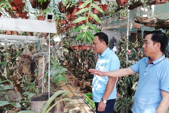 Diễn Châu biểu dương 89 gương người tốt, việc tốt trong đồng bào công giáo