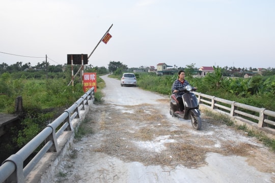 Nghệ An: Một ngày có tới 18 xã phát sinh mới dịch tả lợn châu Phi