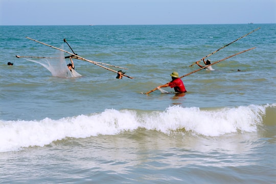 Ngư dân Nghệ An nhộn nhịp vớt 'lộc biển'