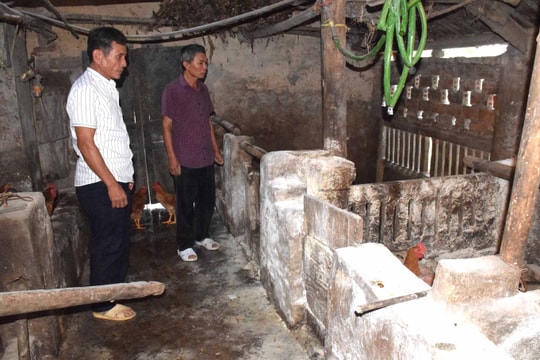 Một xã ở Nghệ An có nguy cơ xóa sổ đàn lợn vì dịch tả châu Phi