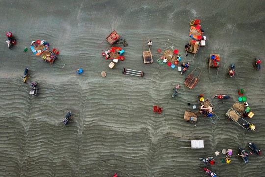 Các hành vi bị nghiêm cấm trong hoạt động thủy sản