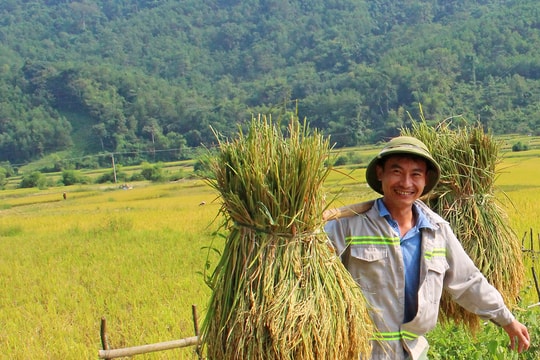 Kỳ tích của đồng bào Thái Nghệ An ở nơi 'đất mỏng, đá dày'