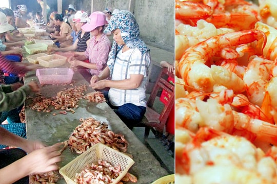 Người dân, các địa phương kỳ vọng vào Chương trình OCOP Nghệ An 