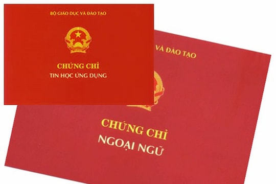 3 trường đại học ở Nghệ An bị ngừng cấp chứng chỉ Tin học và Ngoại ngữ