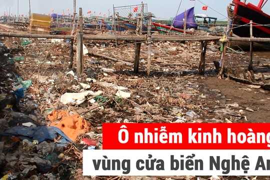 Ô nhiễm kinh hoàng vùng cửa biển Nghệ An