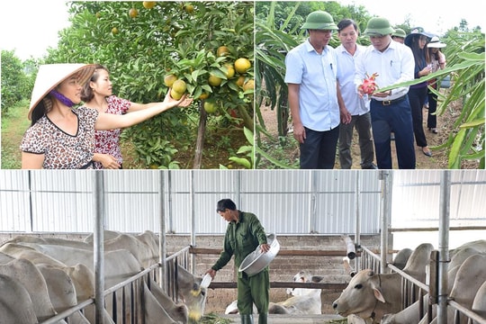 Nghệ An chuyển 69 đơn vị ngành nông nghiệp về UBND cấp huyện quản lý trong quý IV/2019