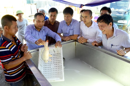 Công nghệ đông lạnh tức thời được trình diễn ở Nghệ An