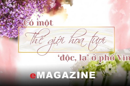 Có một thế giới hoa tươi ‘độc, lạ’ ở phố Vinh