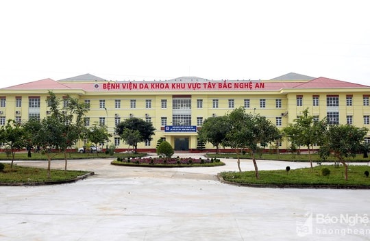 Cặp song sinh tử vong bất thường ở Nghệ An 