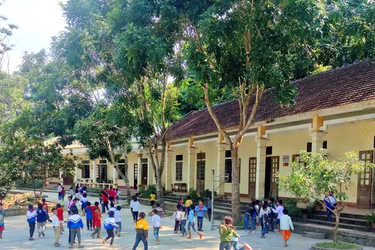 Nghiện ma túy, thầy giáo Nghệ An xin thôi chức hiệu phó trường tiểu học