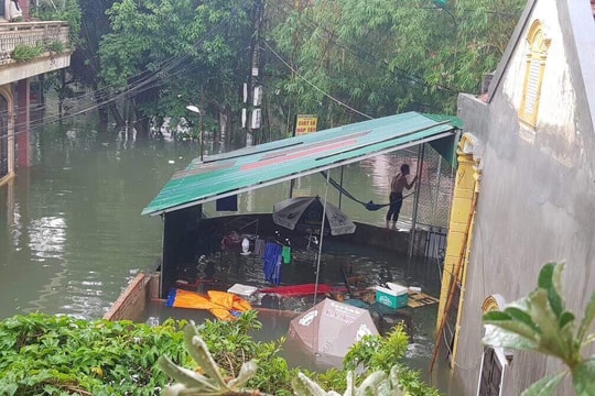 ‘Cá Trung Long to, hay tính mạng, tài sản của dân to...?’