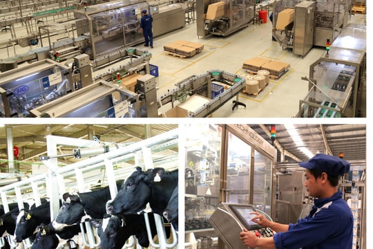 TH True Milk - doanh nghiệp sữa đầu tiên xuất khẩu chính ngạch sang Trung Quốc