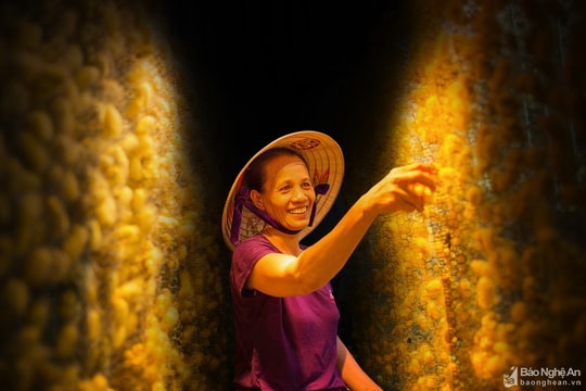 Tơ tằm Nghệ An sẽ có mặt ở Nhật Bản để sản xuất trang phục Kimono nổi tiếng? 