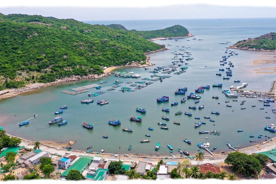 Vì sao Ninh Chữ là điểm đến quốc tế về du lịch biển?