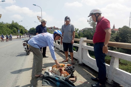 Nghệ An: Dân vứt xác lợn chết bừa bãi, ngang nhiên bán thịt lợn trong vùng dịch 