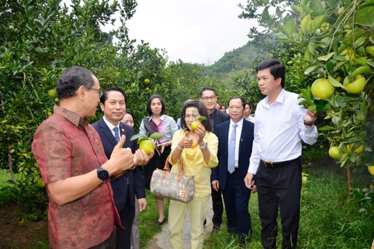 Đại sứ Thái Lan trải nghiệm du lịch cộng đồng tại Nghệ An