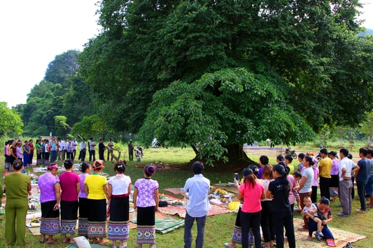 Người Thái Nghệ An tổ chức nghi lễ 'lạ' dưới gốc cây cổ thụ