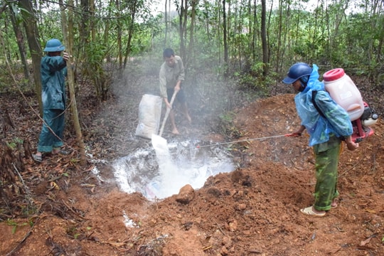 Dịch tả lợn châu Phi kéo dài, nhiều địa phương thiếu đất để tiêu hủy