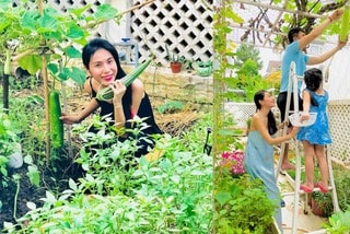 Rau quả sạch đủ thứ trong vườn nhà của Công Vinh - Thủy Tiên