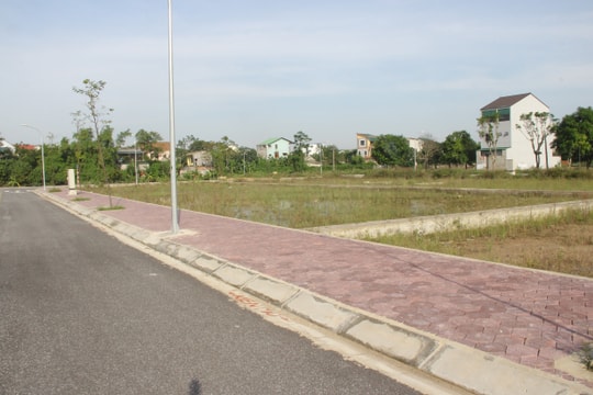 Thành phố Vinh: 'Hội cò đất' đấu giá gây khó khăn cho người có nhu cầu thực sự