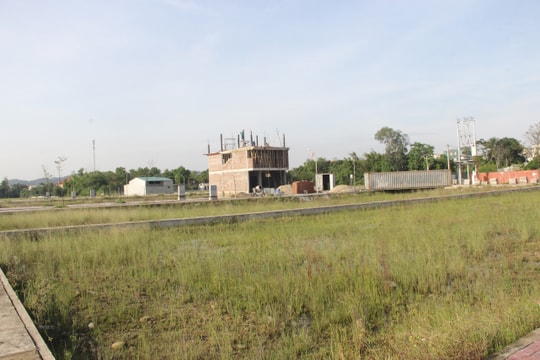 Nghệ An thu hồi thẻ, xử phạt hành chính 10 tổ chức, cá nhân trong đấu giá đất