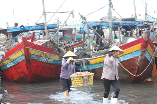 Tàu thuyền Nghệ An cấp tập vào bờ tránh mưa bão