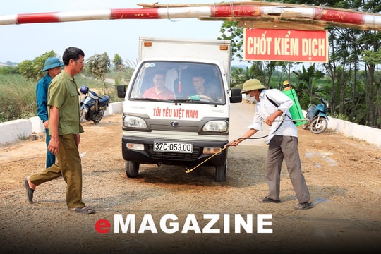 Cấp bách chống dịch tả lợn châu Phi 'như chống giặc'