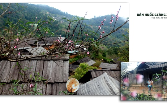 Tây Sơn thương nhớ...