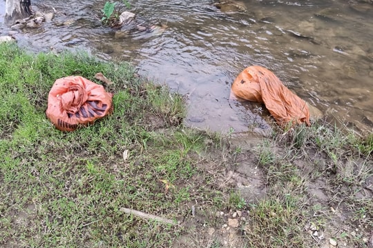 Công an điều tra vụ vứt hàng chục bao tải lợn chết xuống sông ở Nghệ An