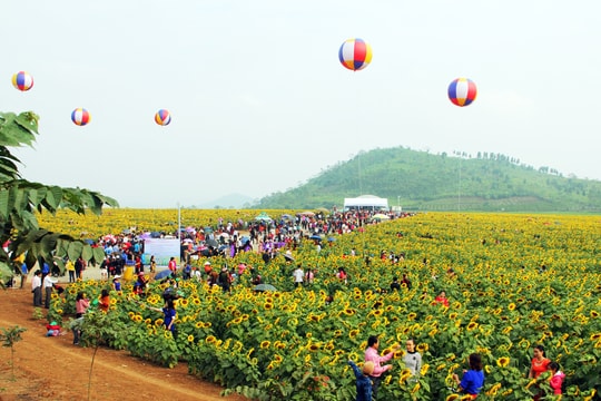 Nghệ An hợp tác với doanh nghiệp phát triển du lịch xanh